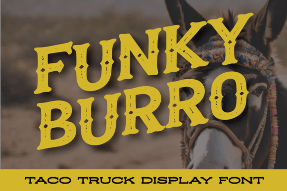 Funky Burro: The Vintage Display Font for Bold Branding