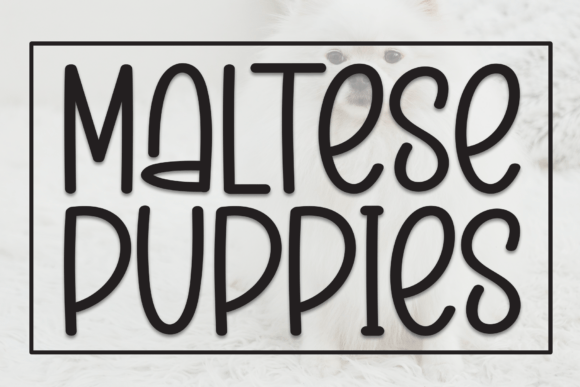 Maltese Puppies Font for Creative Makers