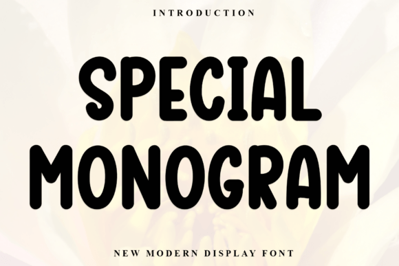 Special Monogram Font for Business Branding